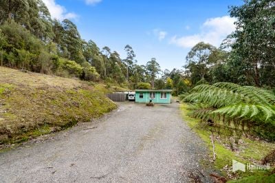 1
 
 
 
  
 
 
 1
 
 
 
 
 
 
 
 
 41 Main Street, Cethana TAS 7306, Cethana - Thumbnail 3
