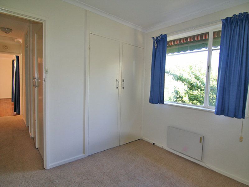 121 Scrivener Street, O'Connor - Thumbnail 7