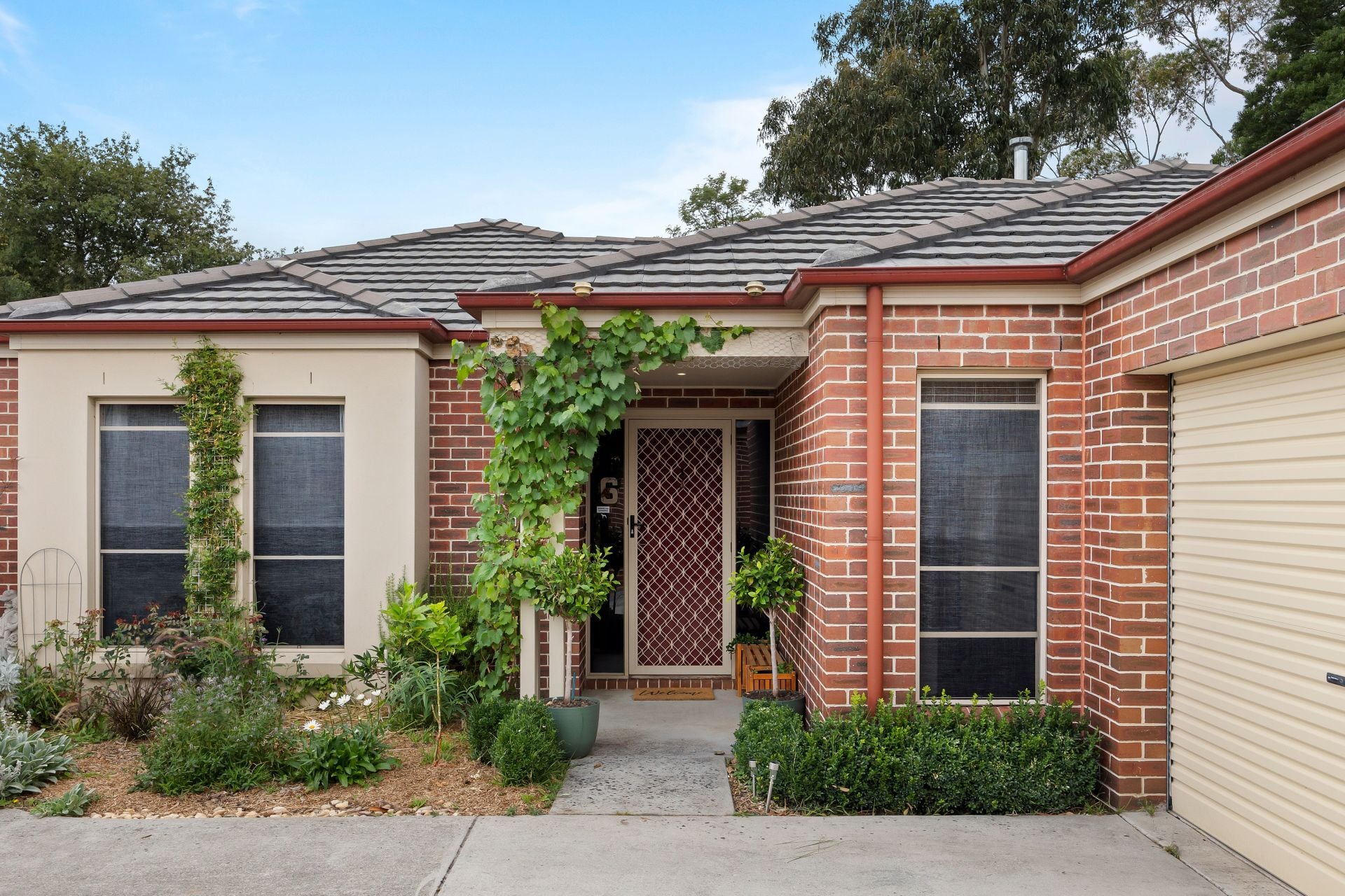 6/115A Mansfield Avenue, Mount Clear, Mount Clear, Mount Clear - Thumbnail 2