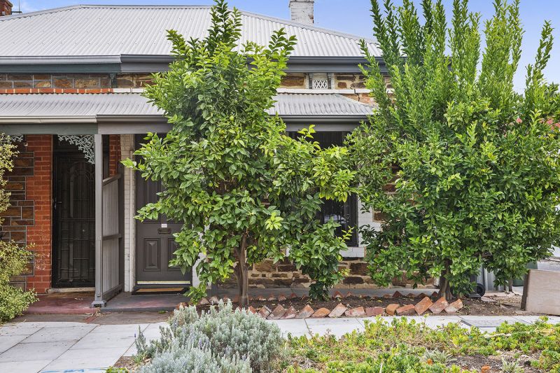 88 McLaren Street, Adelaide Williams Real Estate
