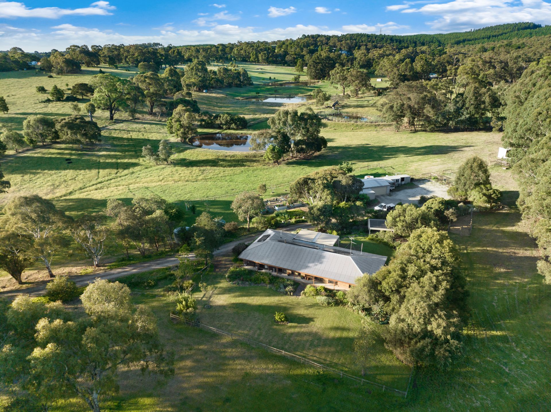 214 Moss Avenue, Mount Helen, Mount Helen - Thumbnail 4