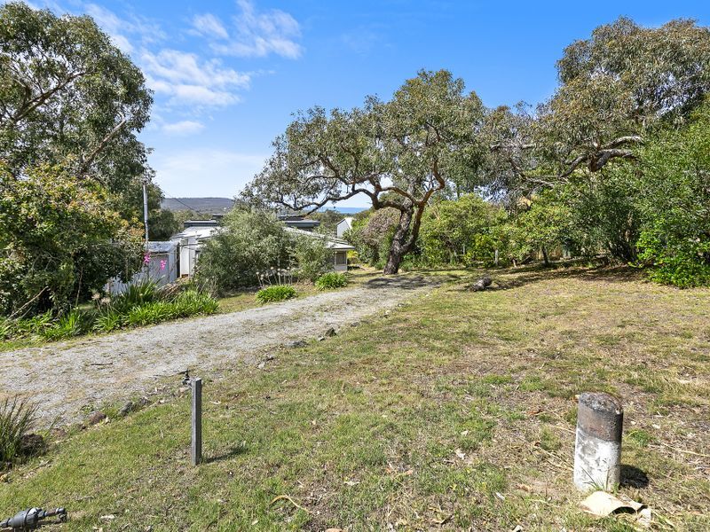 10 Charles Street, Anglesea, VIC, Anglesea - Thumbnail 4