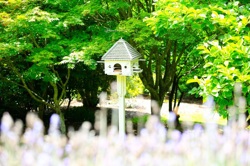 Real Estate For Sale 193 Oxley Drive Mittagong , NSW