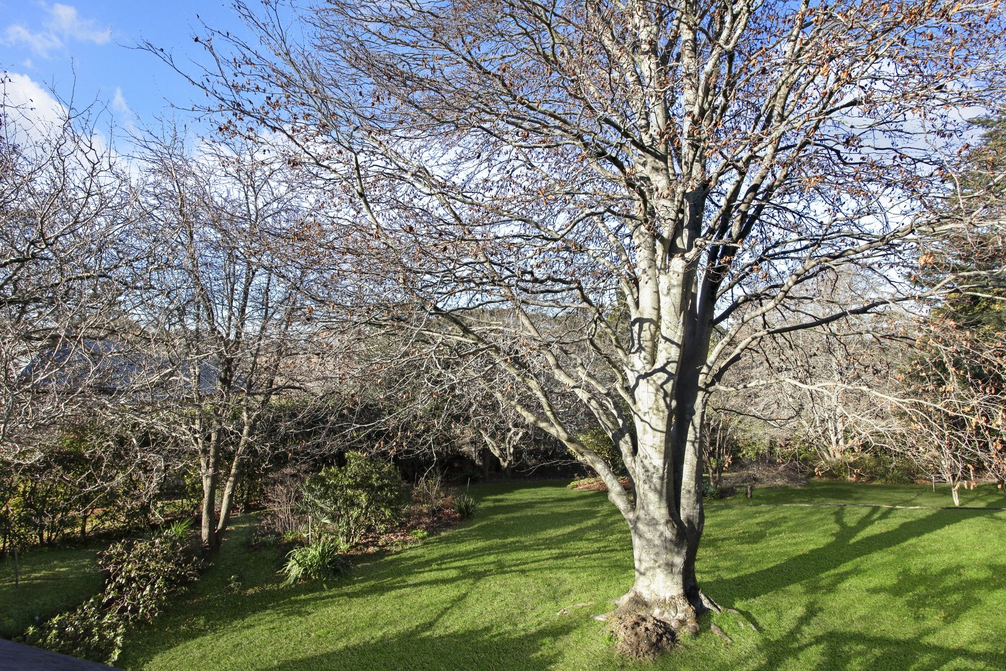 77 Blaxland Road Wentworth Falls 2782