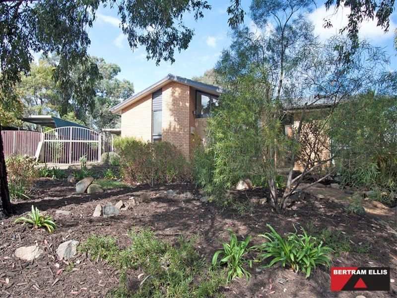 52 Langridge Street, Wanniassa - Thumbnail 3