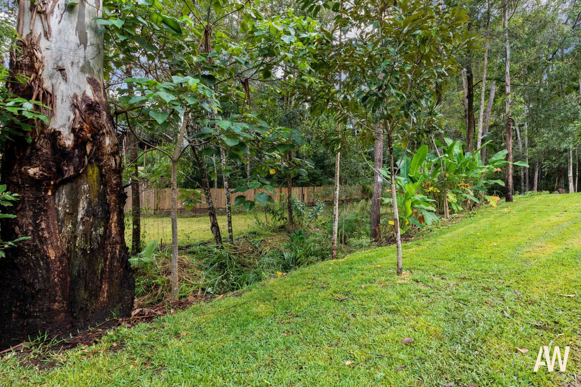 6 Birdwing Forest Place Buderim QLD, Buderim - Image 1