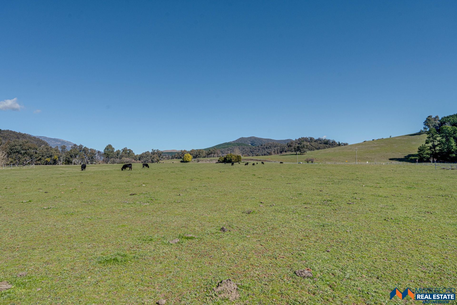 367 Merriang South Road MYRTLEFORD VIC, Myrtleford - Thumbnail 4
