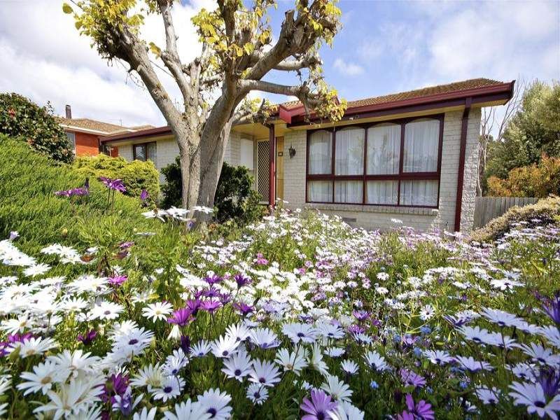3
 
 
 
  
 
 
 1
 
 
 
 
 
 
 
 
 53 Surrey Street, DEVONPORT TAS 7310, Devonport - Thumbnail 7