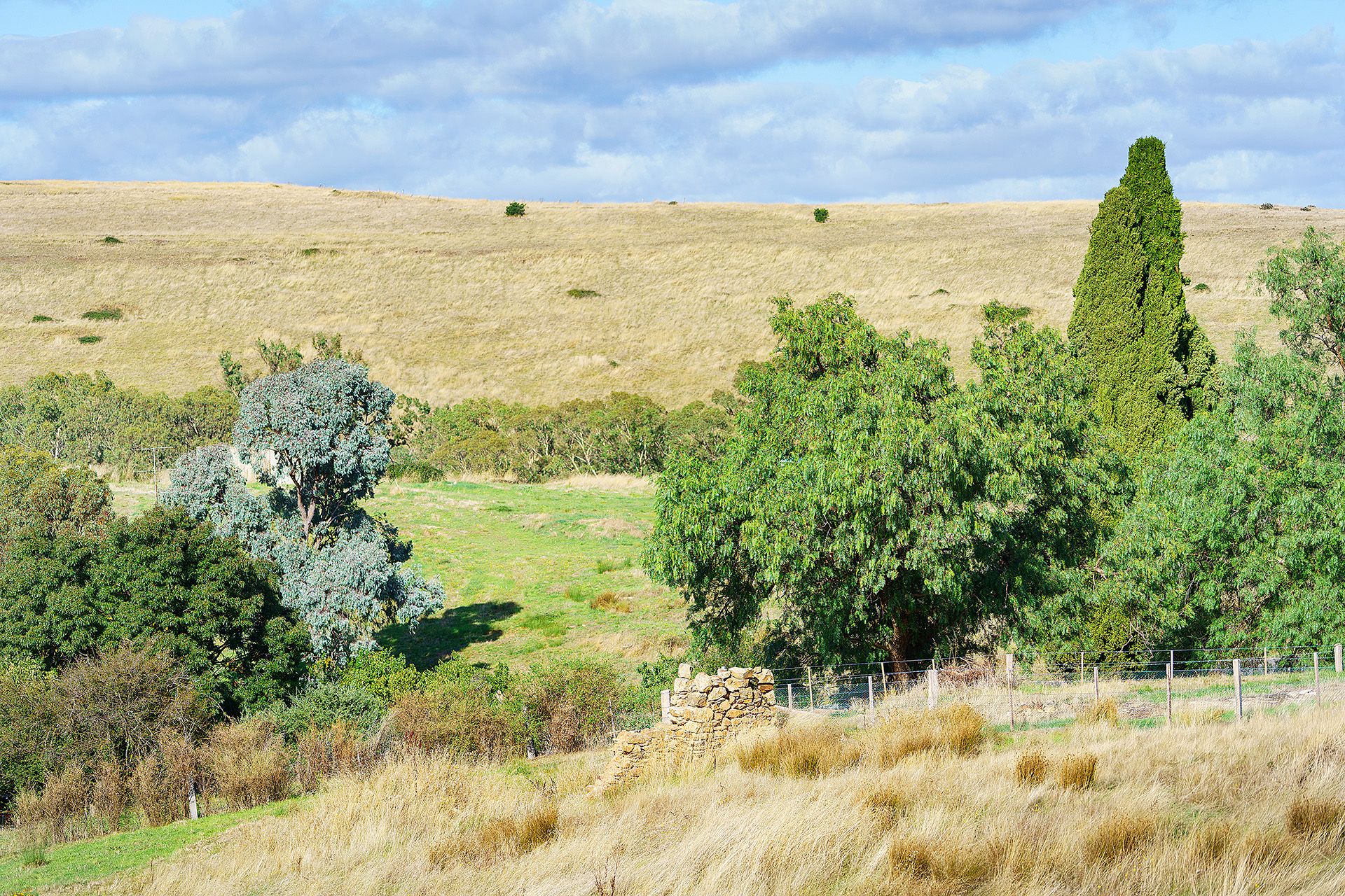 Lot 5, 58 Main Street Eldorado, Harcourt - Thumbnail 7