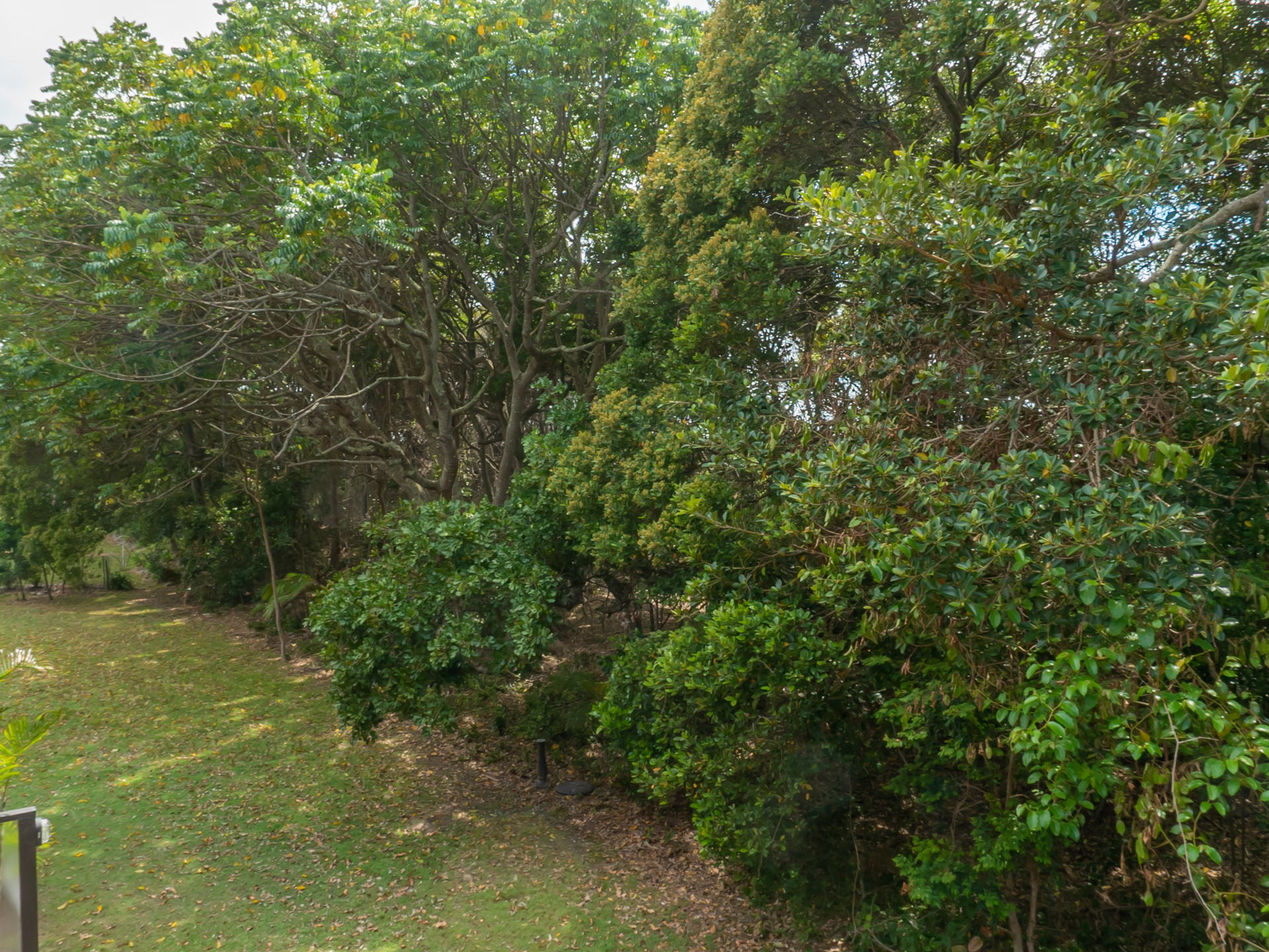 3/10 Honeysuckle Street, Sawtell NSW 2452