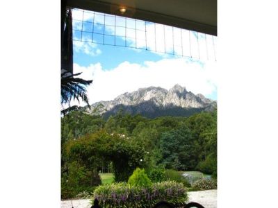 45 Patawalonga Road, CLAUDE ROAD, Claude Road - Thumbnail 8