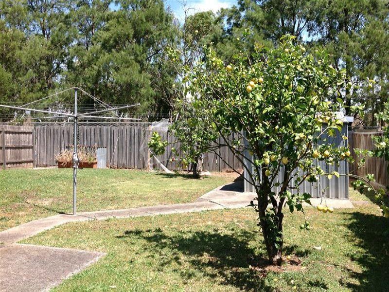 POINTS TO PERFECTION !!!   ***GARDENER INCLUDED***