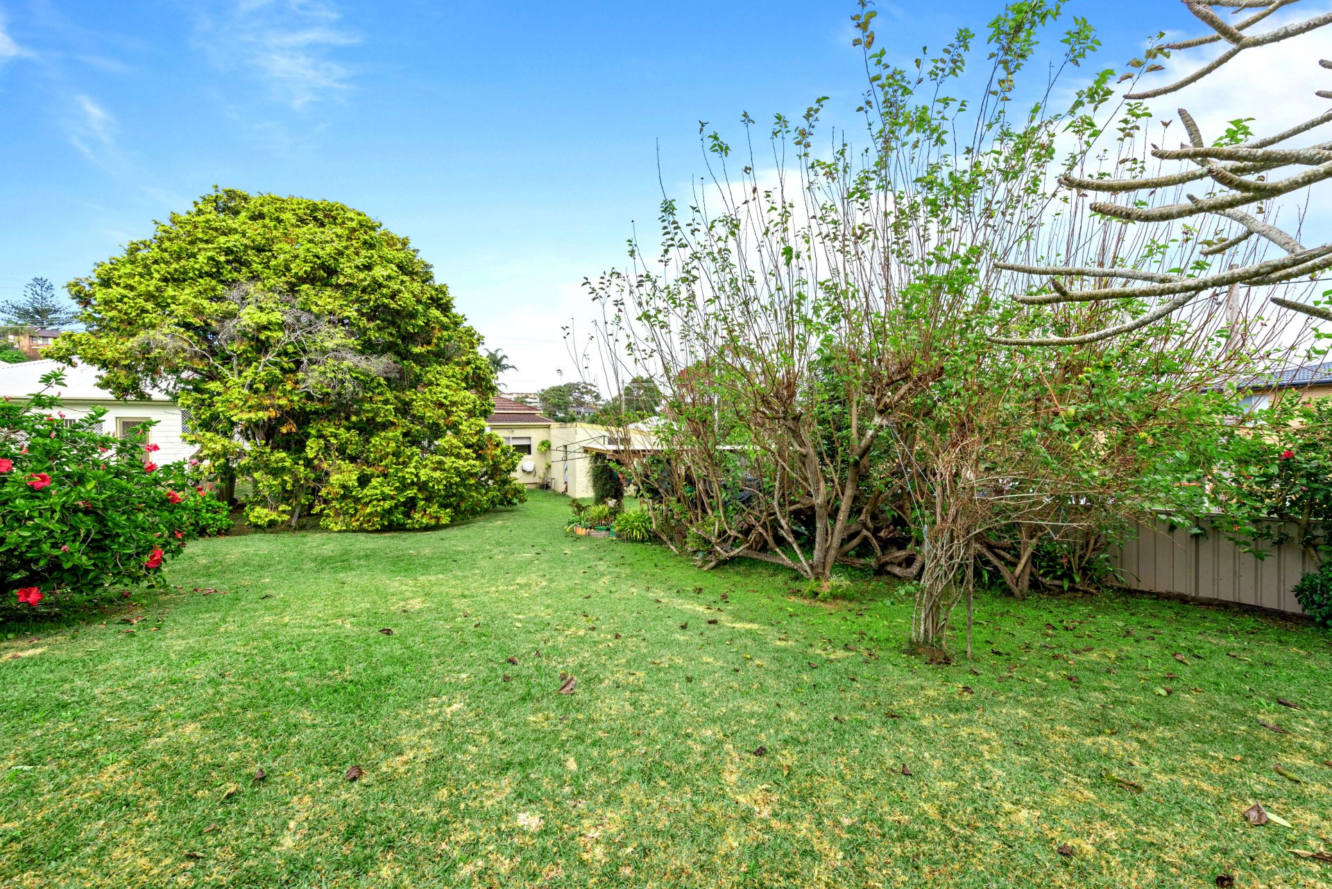 11 Home Street Port Macquarie NSW, Port Macquarie - Thumbnail 5