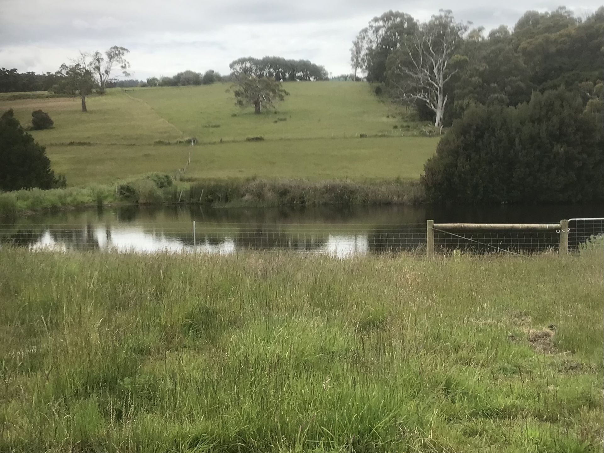 14 Sanwae Drive Swan Bay, Swan Bay - Thumbnail 7
