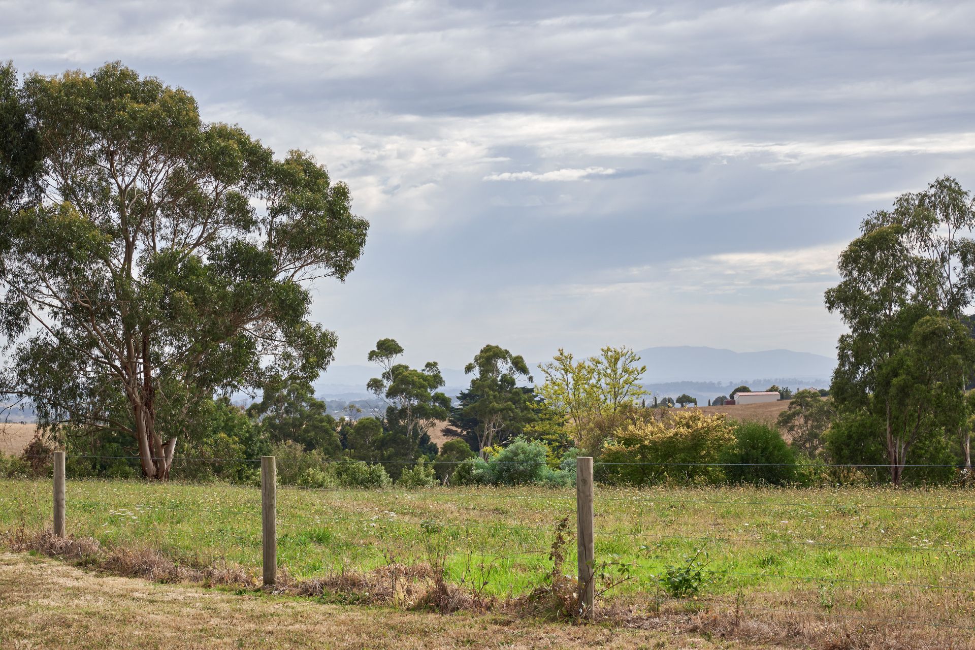 50 Botanica Drive, Warragul OBrien Real Estate