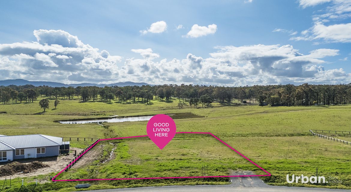 Branxton 14 Pistacia Grove