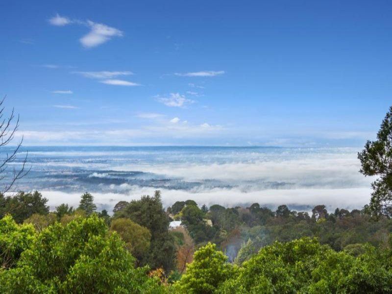 19 Rain Ridge Road, Kurrajong Heights - Thumbnail 3