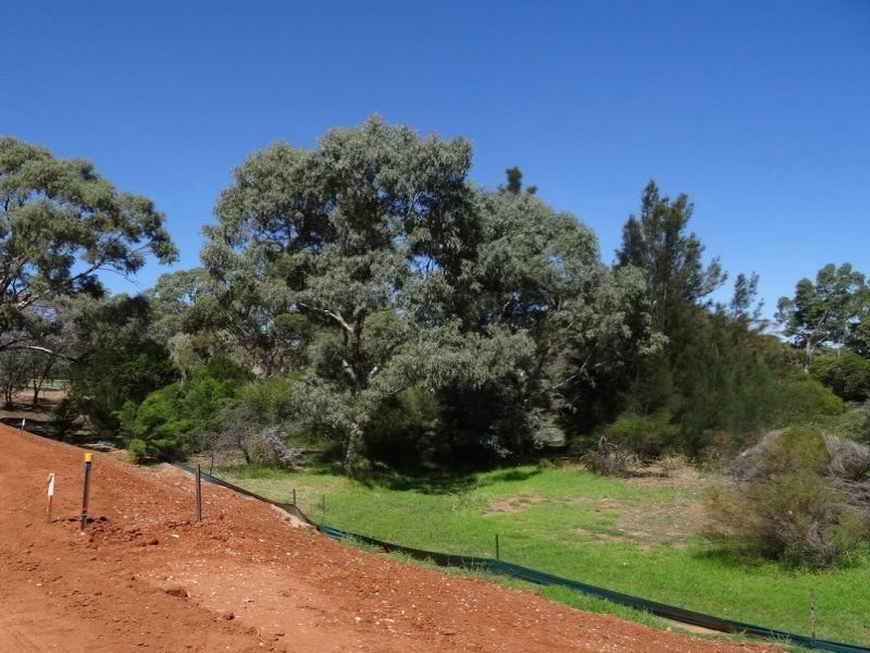 Lot 24  Curnow Court  Evanston Park 5116
