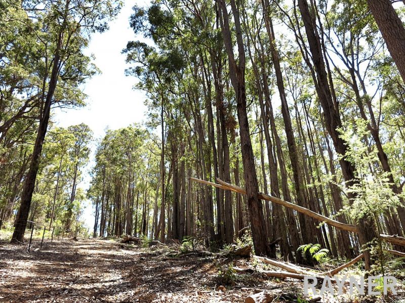 1 Oro Road Dwellingup WA, Dwellingup - Thumbnail 5