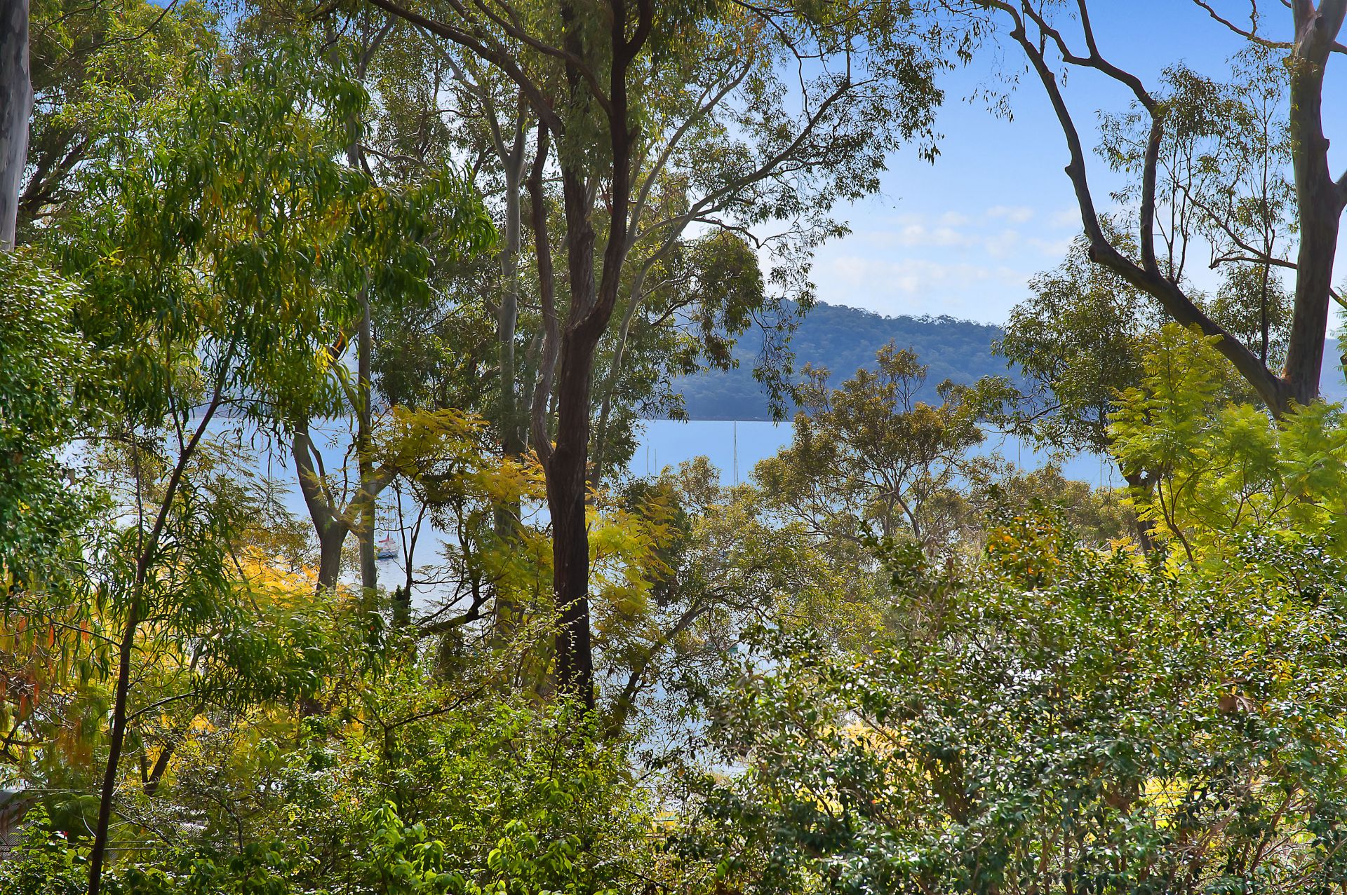 65 & 65a Hudson Parade Avalon NSW, Avalon - Thumbnail 6
