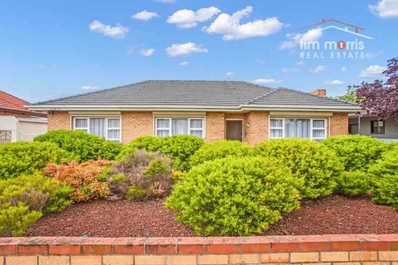 7 Fortisgreen Street, Pennington Tim Morris Real Estate