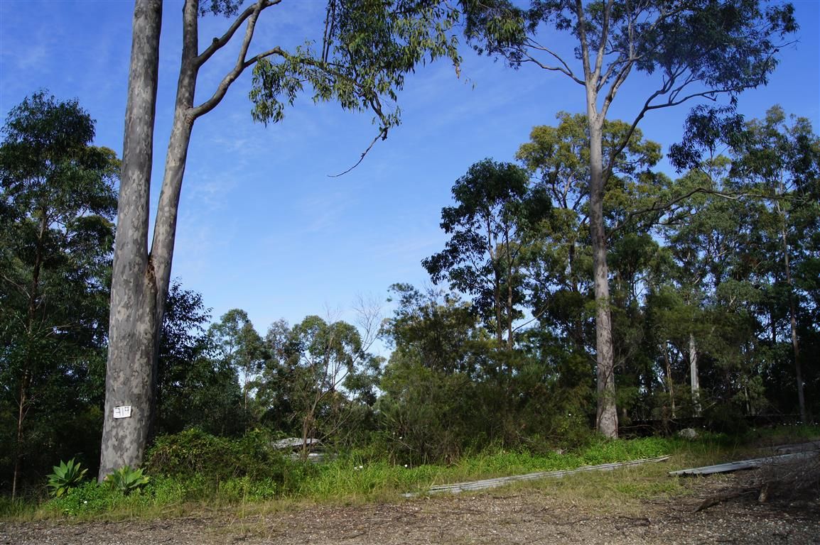 Real Estate For Sale 319 Dirty Creek Road Dirty Creek , NSW