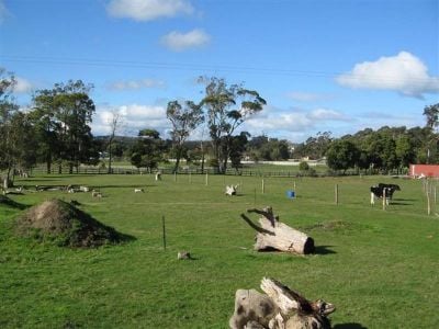 3
 
 
 
  
 
 
 2
 
 
 
  
 
 
 2
 
 
 
 
 
 
 
 9001 Bass Highway, LATROBE TAS 7307, Latrobe - Thumbnail 4