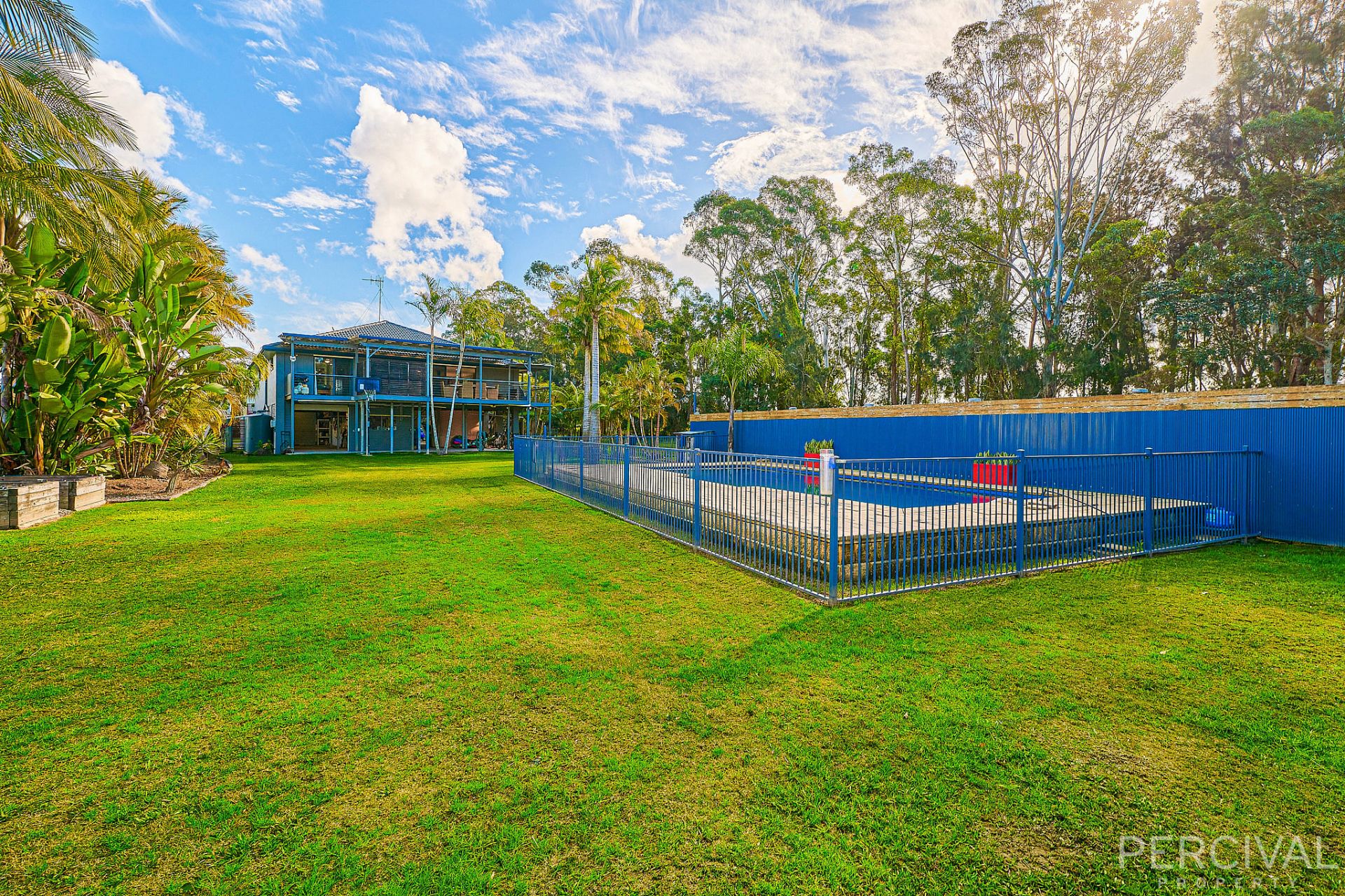8 Seagull Street North Shore NSW, North Shore - Thumbnail 5