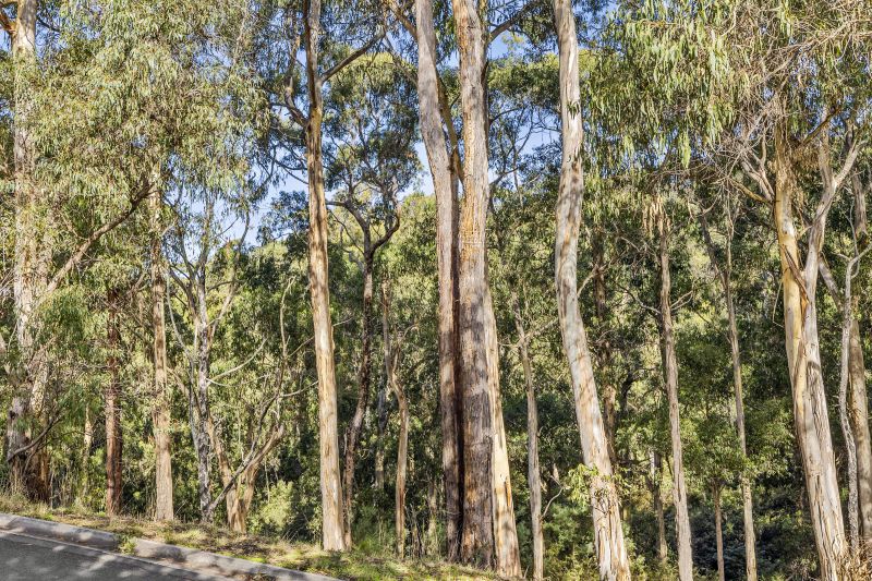 6 Allenvale Road, Lorne, VIC, Lorne - Thumbnail 6