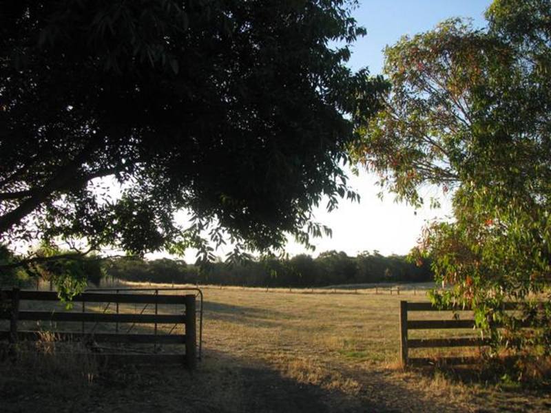 38 Ennis Street, Birregurra, VIC, Birregurra - Image 1