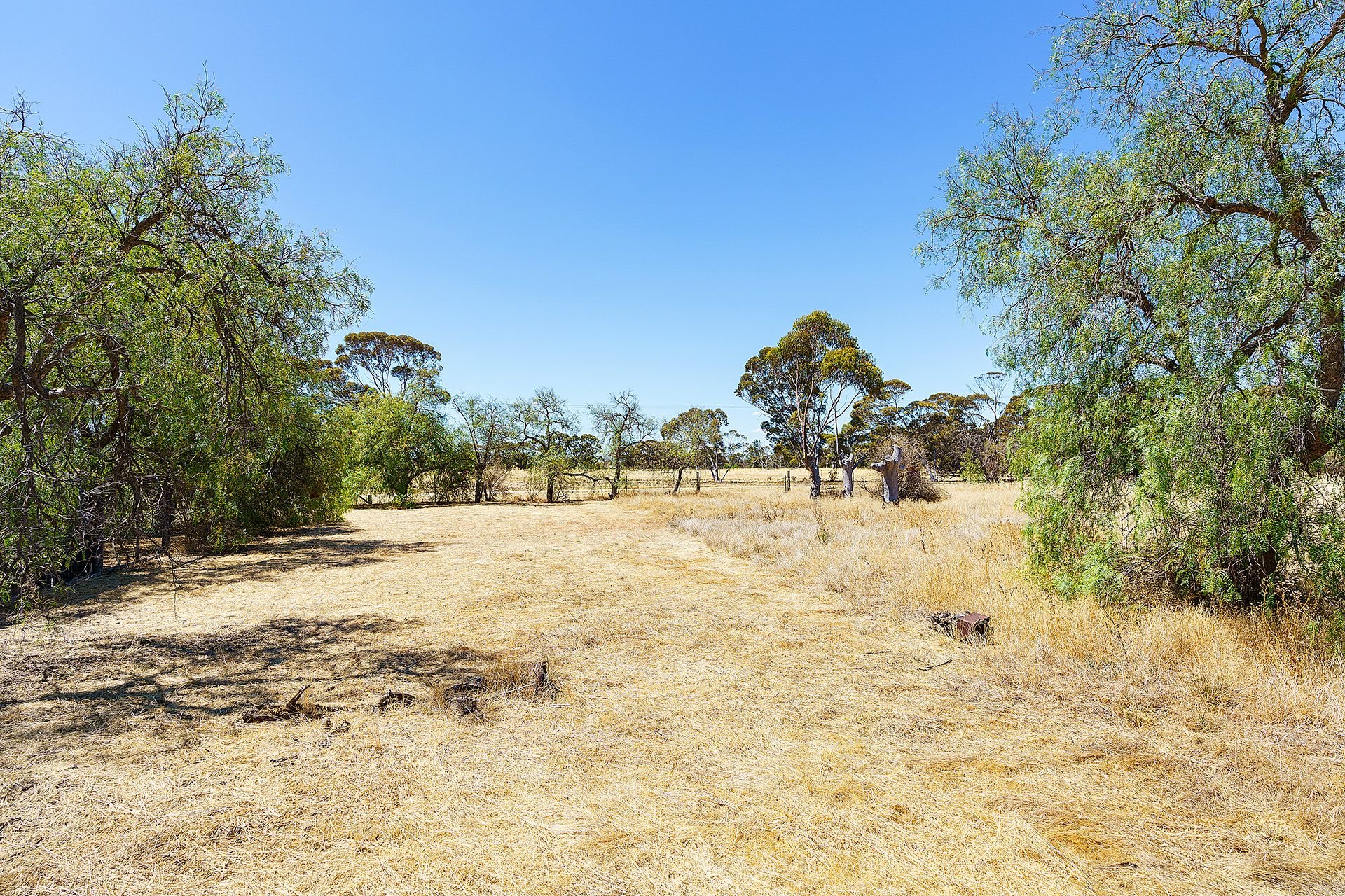 Lot 14/ Memorial Park Drive, Netherby VIC 3418