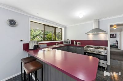 240 South Road, West Ulverstone, West Ulverstone - Thumbnail 7