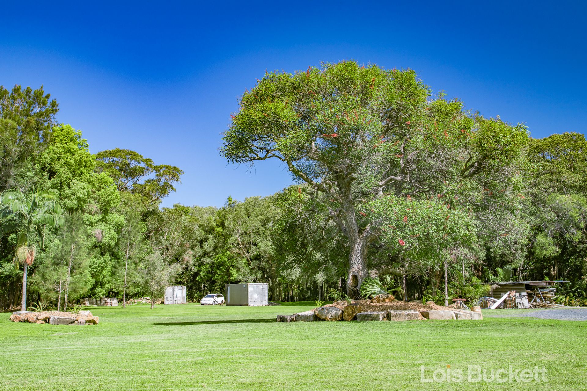 1216 Figtree Hill Drive, Lennox Head Lois Buckett Real Estate