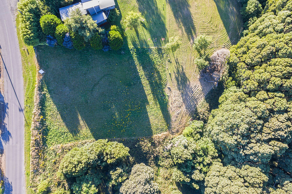 33  Great Ocean Road, Lavers Hill, VIC, Lavers Hill - Thumbnail 5