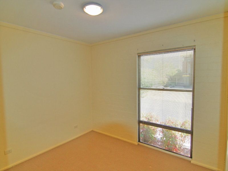 3 Cosgrove Street, Curtin - Thumbnail 7