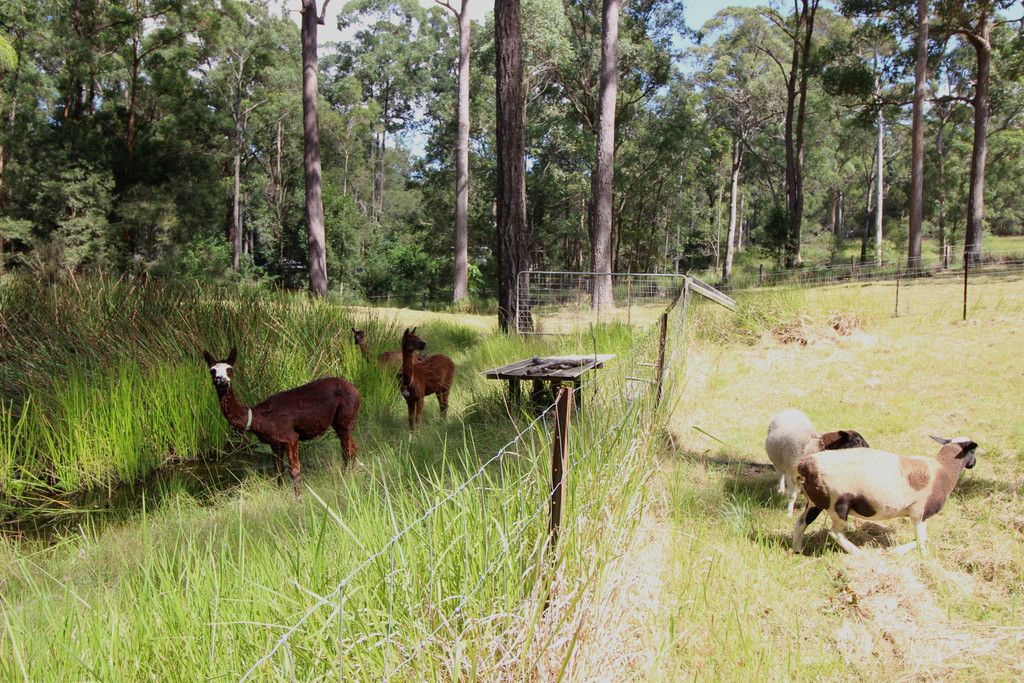 105 Quarry Rd, ROSEWOOD NSW 2446