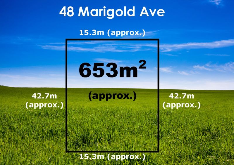 48 Marigold Avenue, Altona North - Thumbnail 4