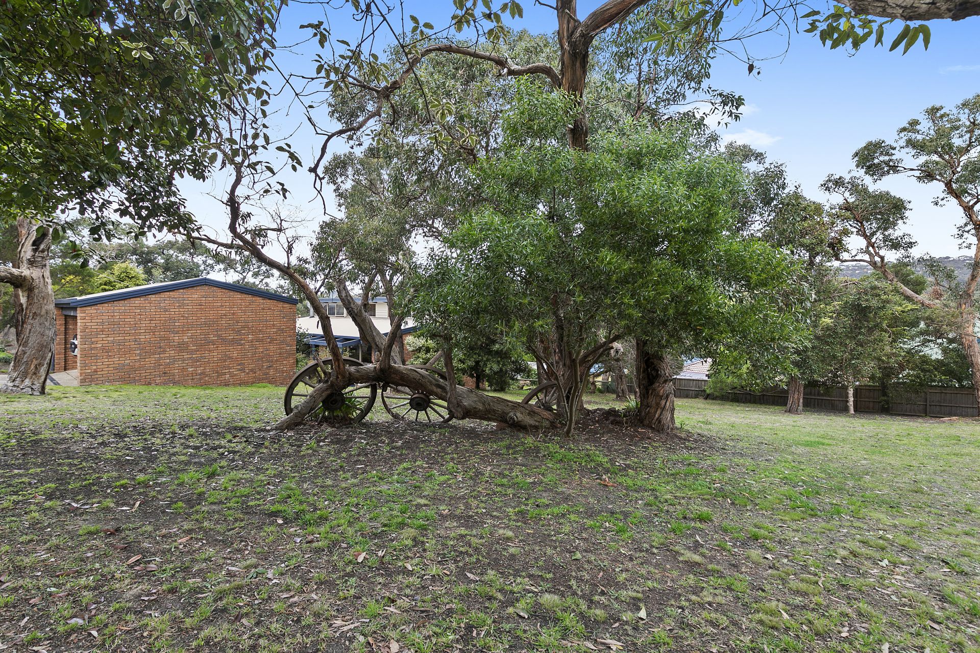 10 Hillcrest Road, Anglesea - Thumbnail 8