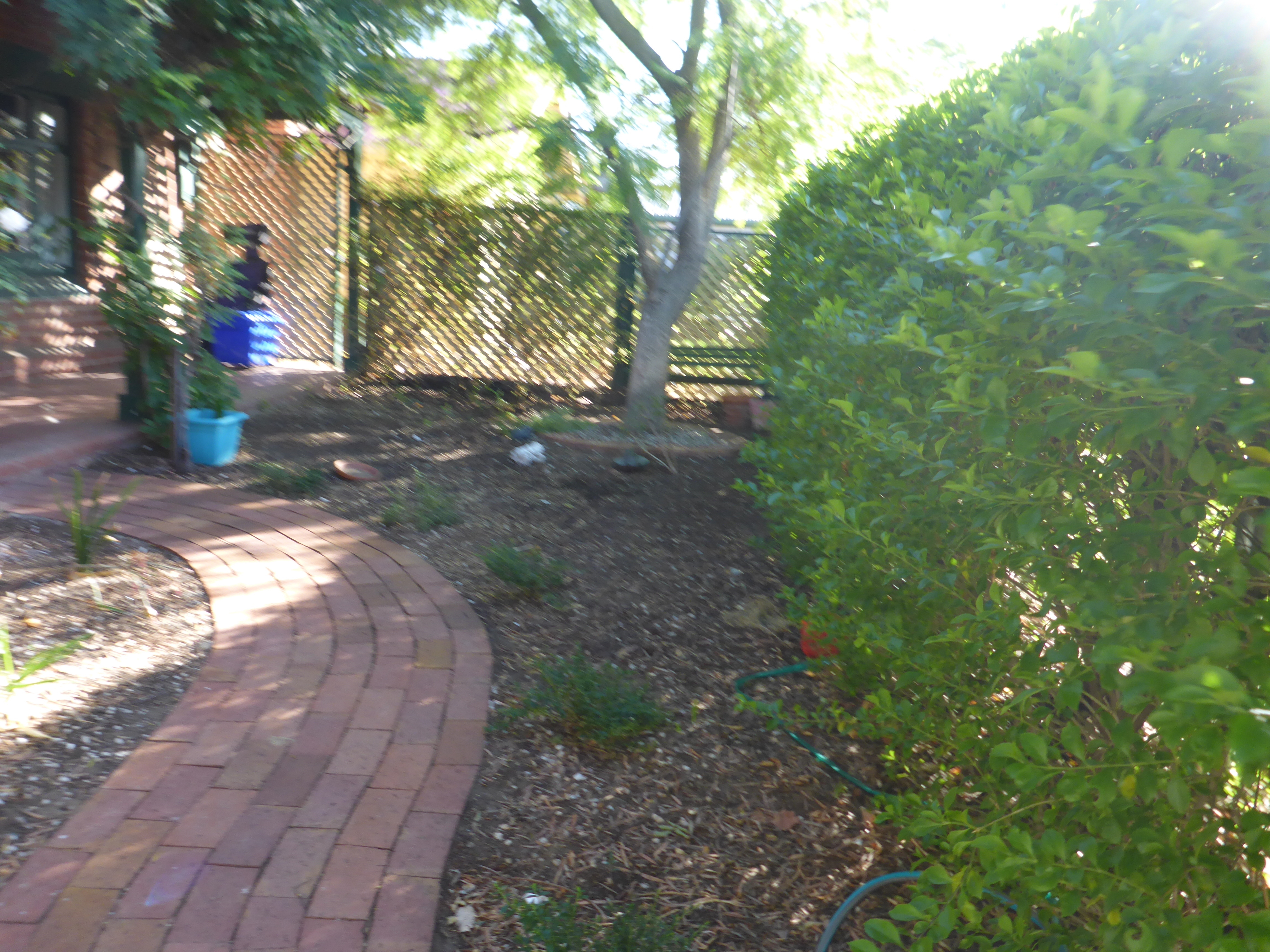 1 Belgrave Street Alberton 5014