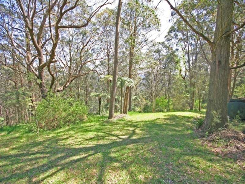 MOUNT TOMAH, NSW, Mount Tomah - Image 1