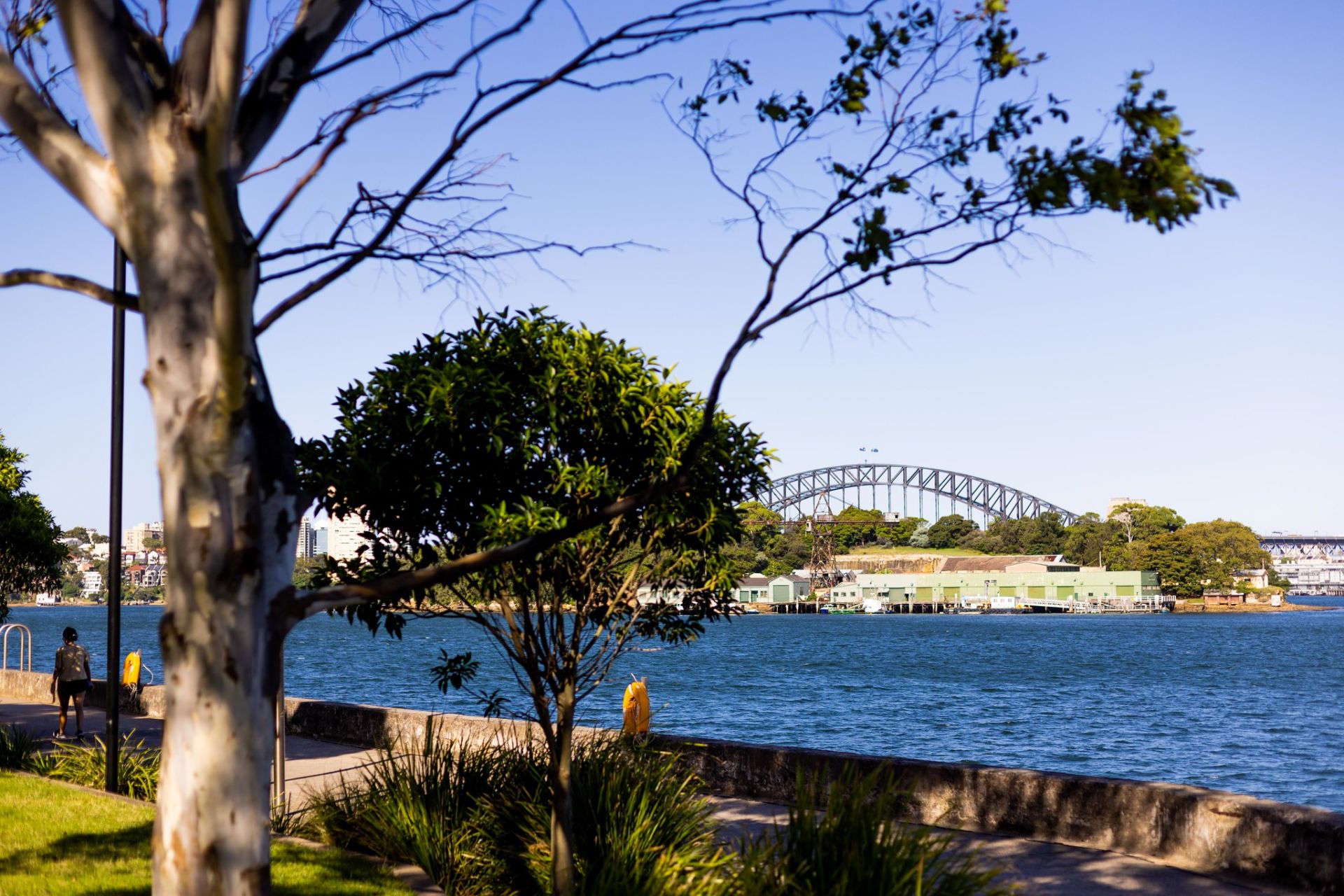 2/1 McKell Street Birchgrove NSW 2041 Apartment for Rent 7315284 CobdenHayson