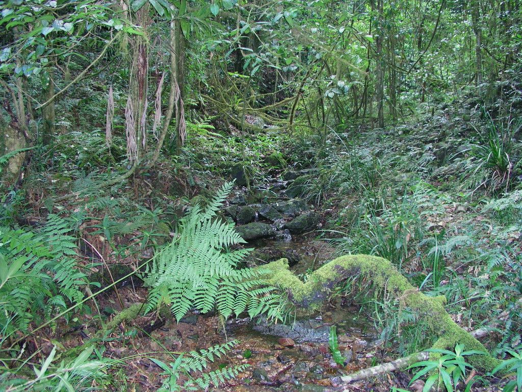 Lot 204 Misty Vale Way, HOLLISDALE NSW 2446