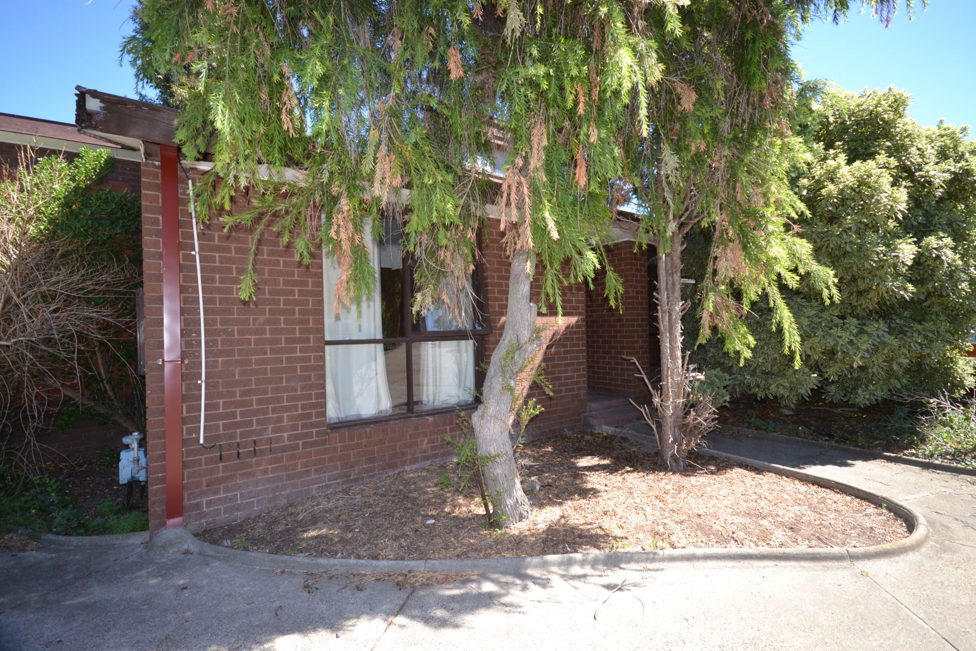 LARGE THREE BEDROOM RENOVATED UNIT IN GREAT LOCATION