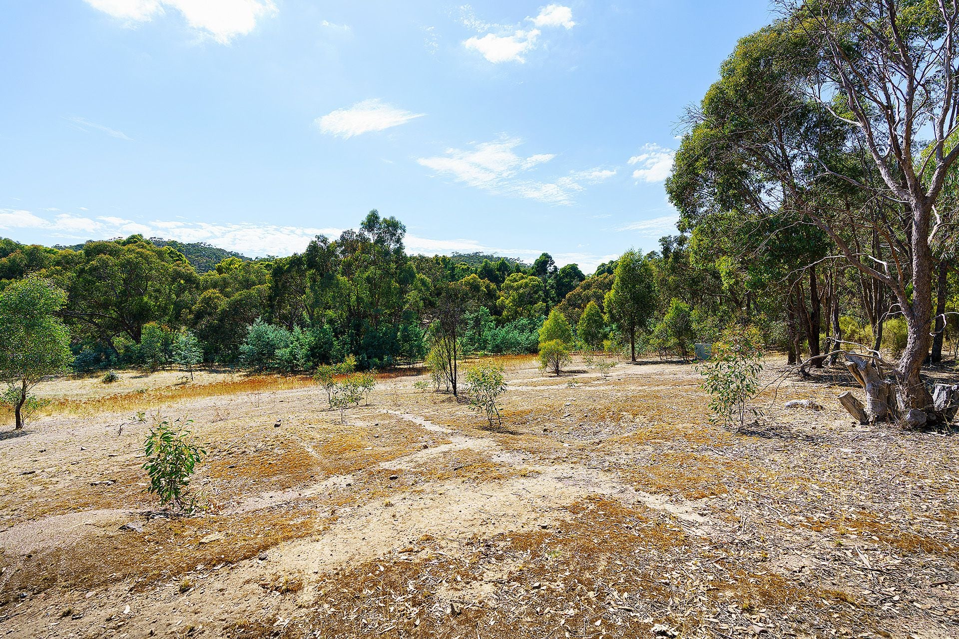 5 Adams Road, Harcourt - Thumbnail 8