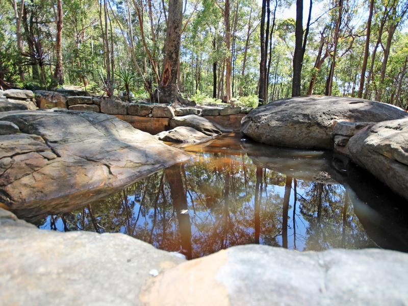 217 Burralow Road, Kurrajong Heights - Thumbnail 6