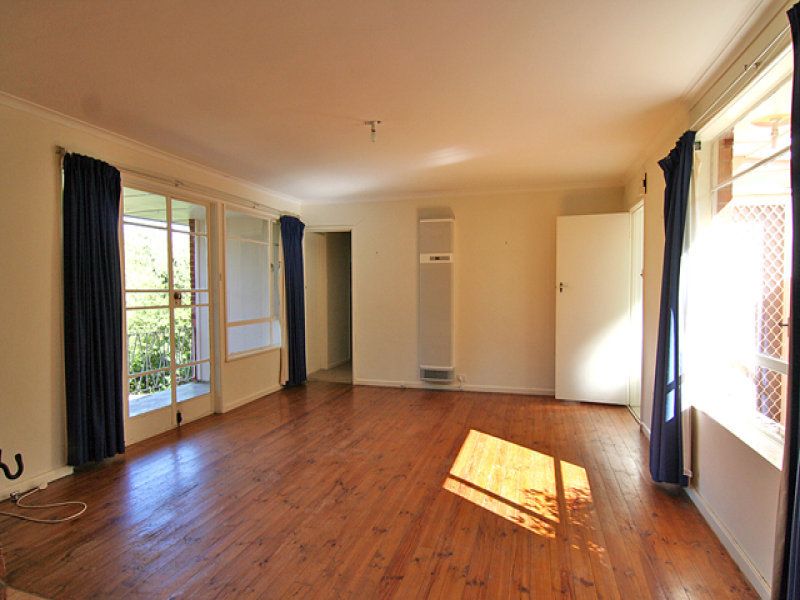121 Scrivener Street, O'Connor - Thumbnail 4