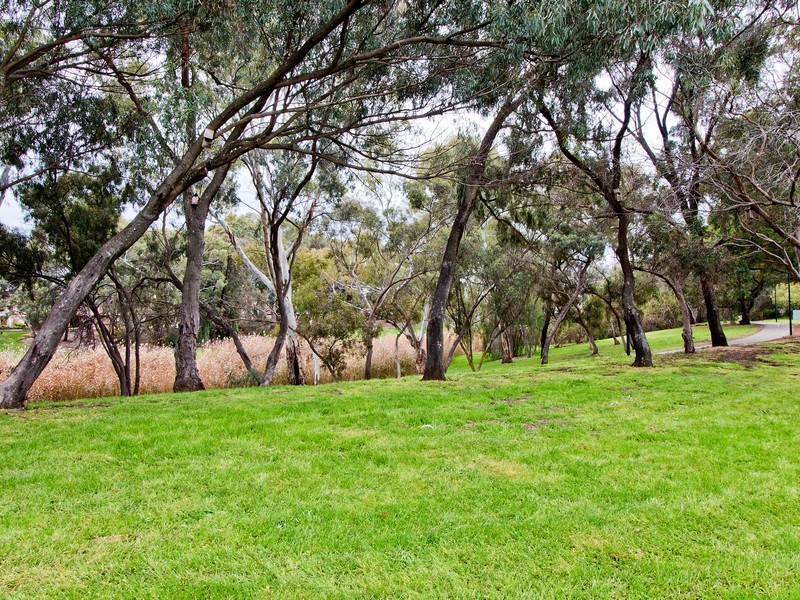 11 Veronica Crescent Lockleys 5032