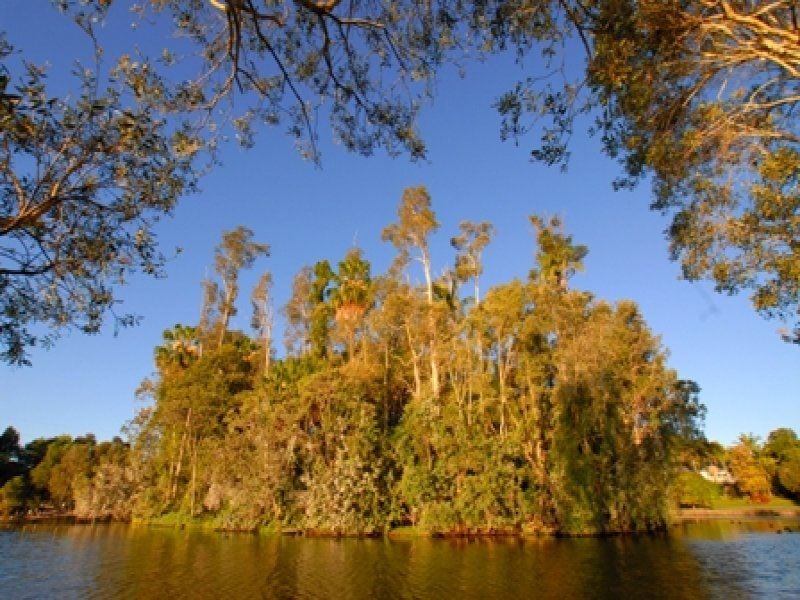58-60 Darley Road, Upper Caboolture, QLD, 4510, Upper Caboolture - Thumbnail 5