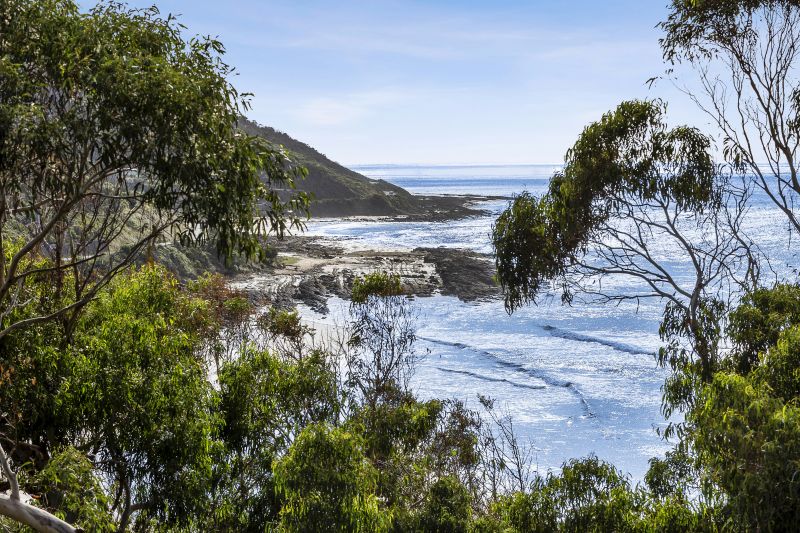 38 McRae Road, Wye River, VIC, Wye River - Thumbnail 4
