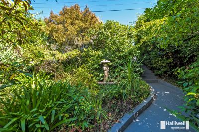 4
 
 
 
  
 
 
 2
 
 
 
  
 
 
 2
 
 
 
 
 
 
 
 55 Wenvoe Street, Devonport TAS 7310, Devonport - Thumbnail 5